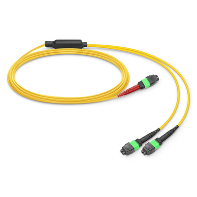 24 Núcleos Mtp Patch Cable Mpo Fiber Patch Cable SM OS2 Com LSZH Out Jacket