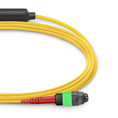 24 Núcleos Mtp Patch Cable Mpo Fiber Patch Cable SM OS2 Com LSZH Out Jacket