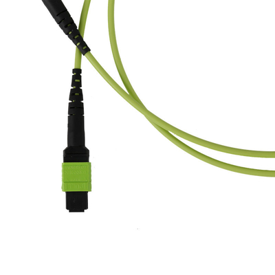 50/125 OM5 Mpo Fiber Jumper Mtp Mpo Fiber Patch Cable 3,0 mm PVC