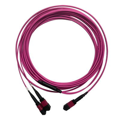 50/125 OM4 MM MPO Patch Cord 24F 3,0 mm PVC Multimodo de alta densidade