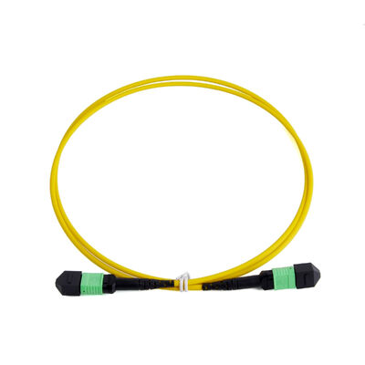 Modelo único G657A1 MPO para MPO Fibra Óptica